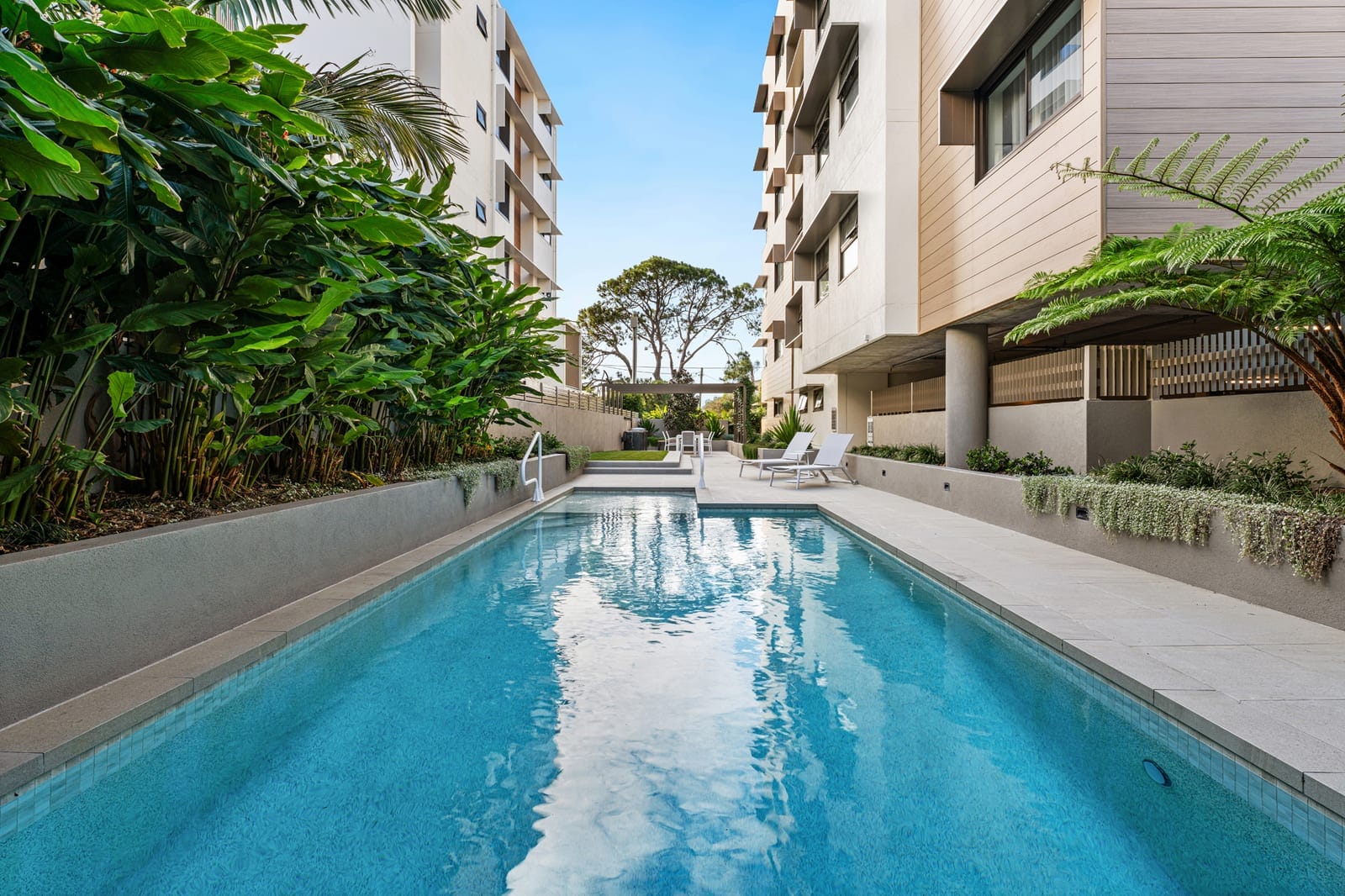 Modern Boutique Luxury in Blue Chip Cotton Tree