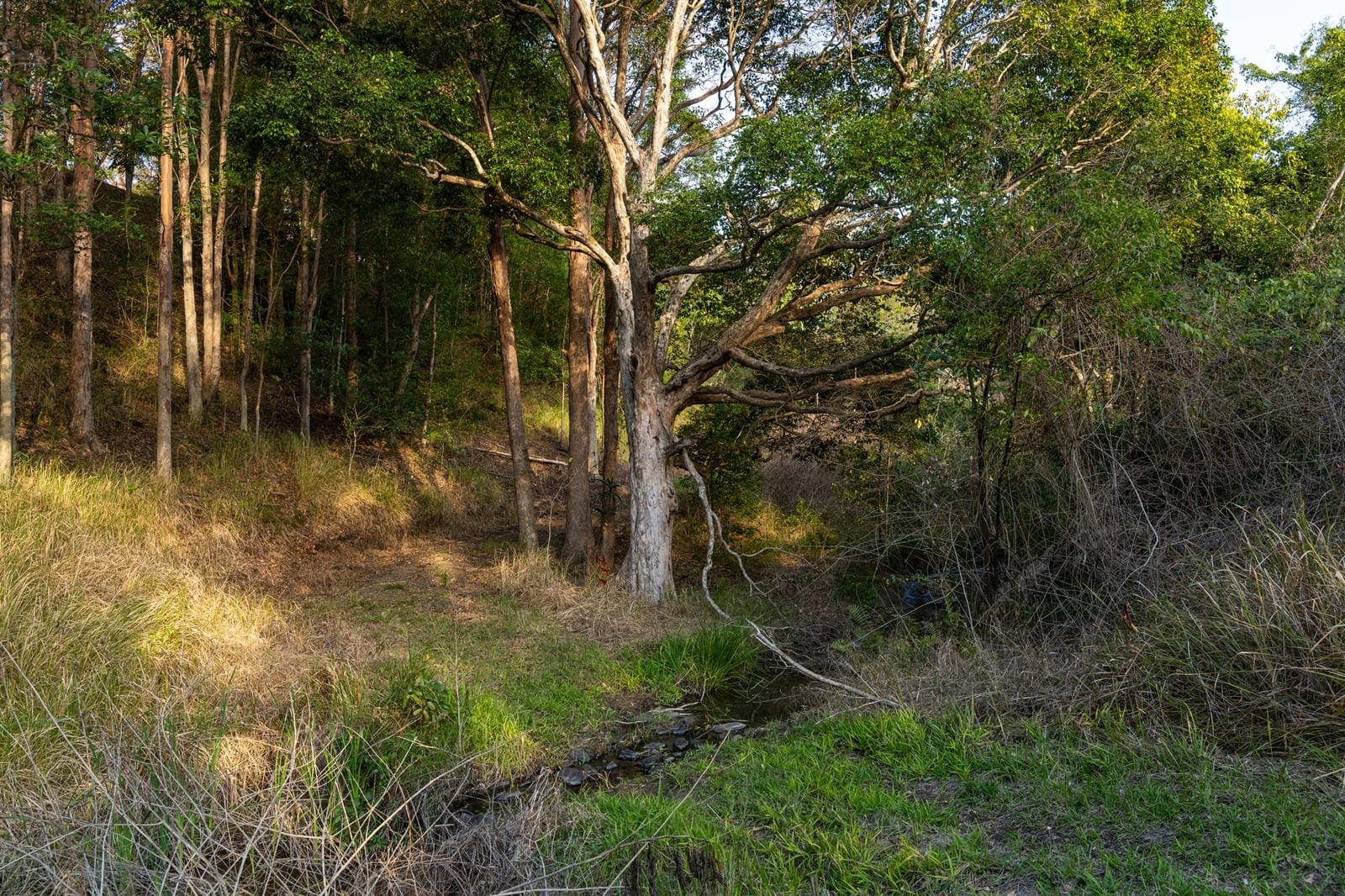 56 Acres of Lifestyle, Views & Opportunity