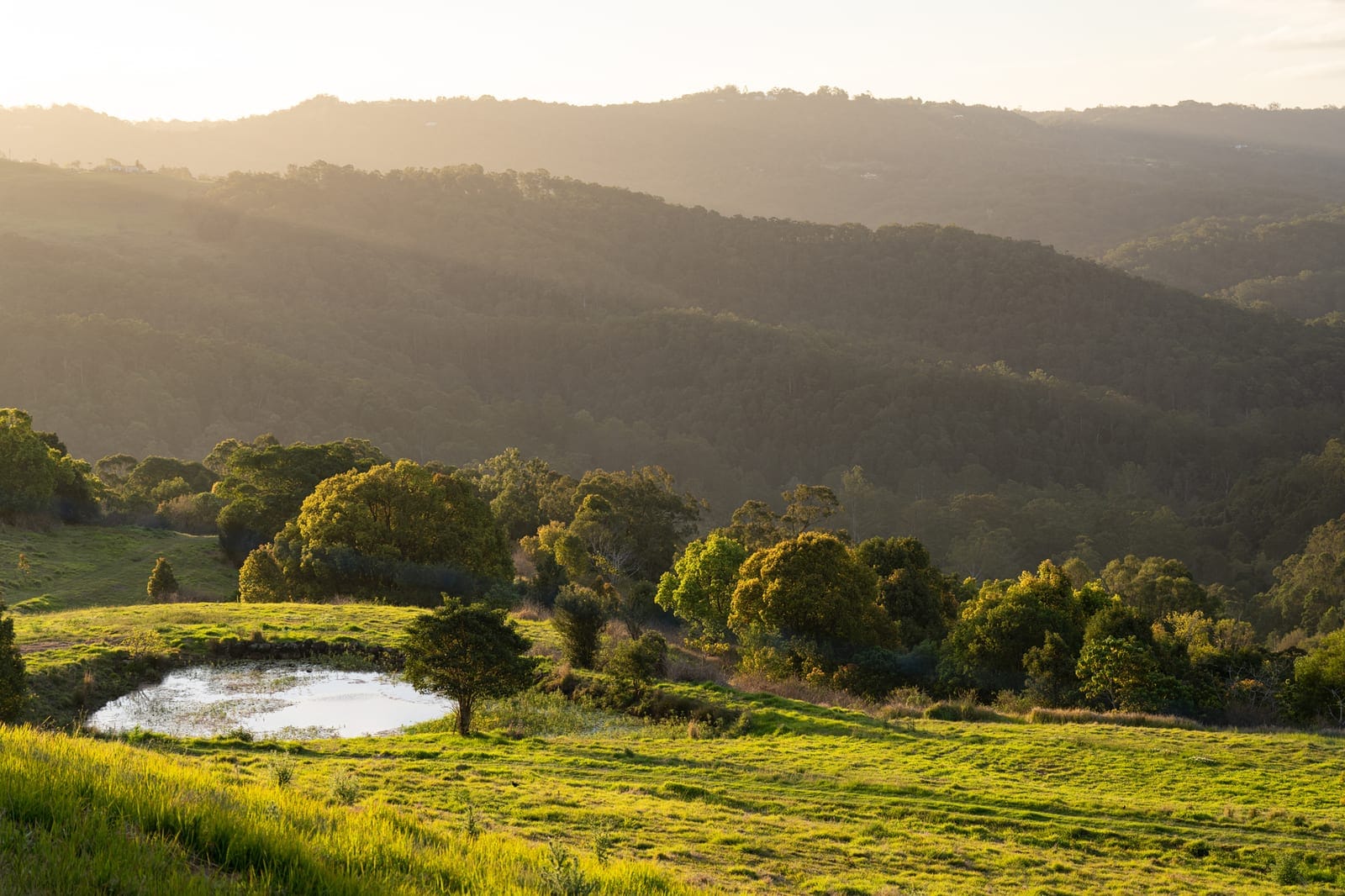 56 Acres of Lifestyle, Views & Opportunity