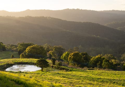 56 Acres of Lifestyle, Views & Opportunity