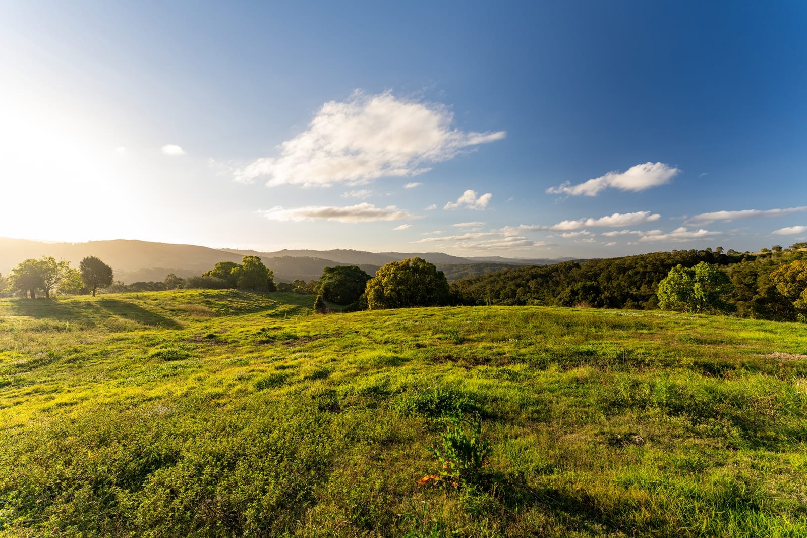 56 Acres of Lifestyle, Views & Opportunity