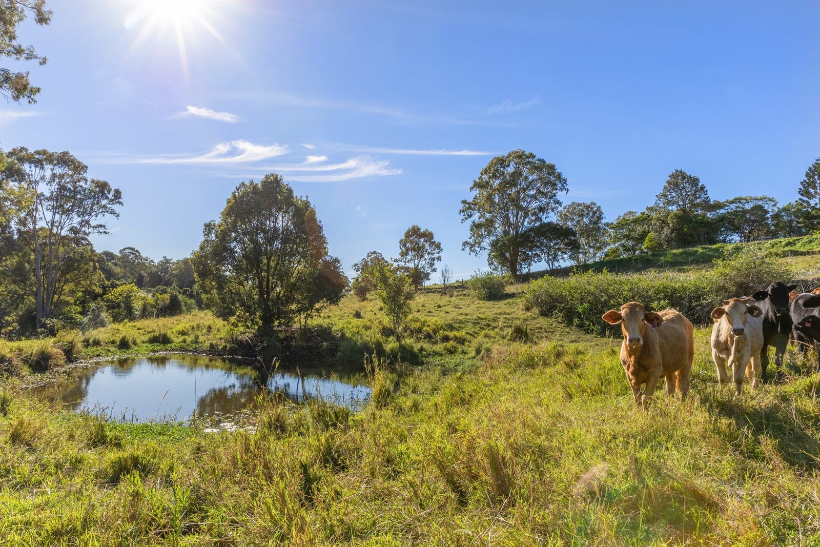 56 Acres of Lifestyle, Views & Opportunity