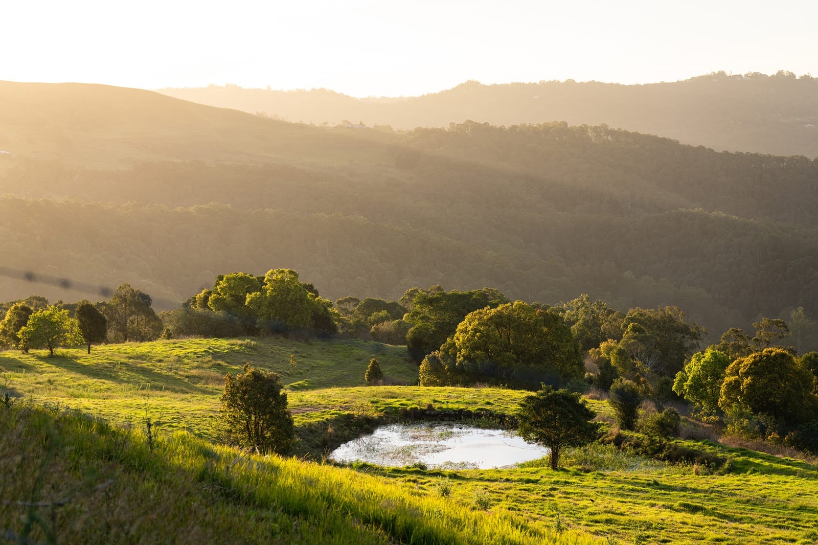 56 Acres of Lifestyle, Views & Opportunity