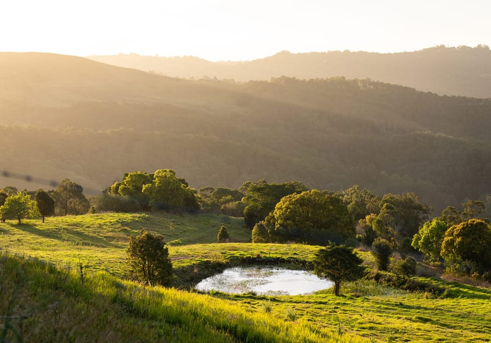 56 Acres of Lifestyle, Views & Opportunity