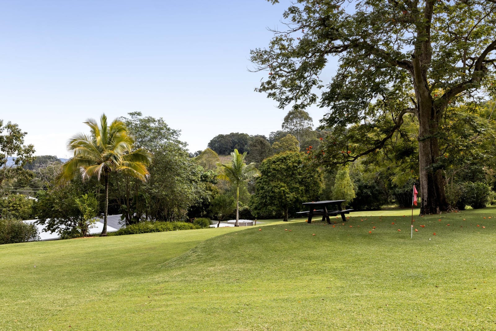 2.5 Acres of Freedom, Just Minutes from the Coast