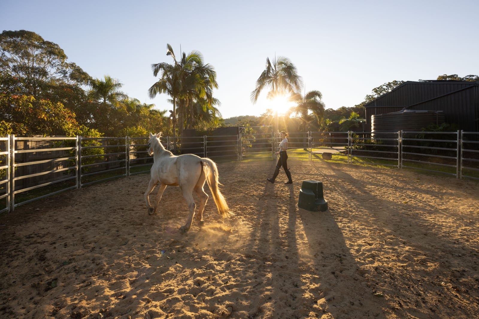 Private 10-Acres: Premium Modern Home, Quality Horse Infrastructure