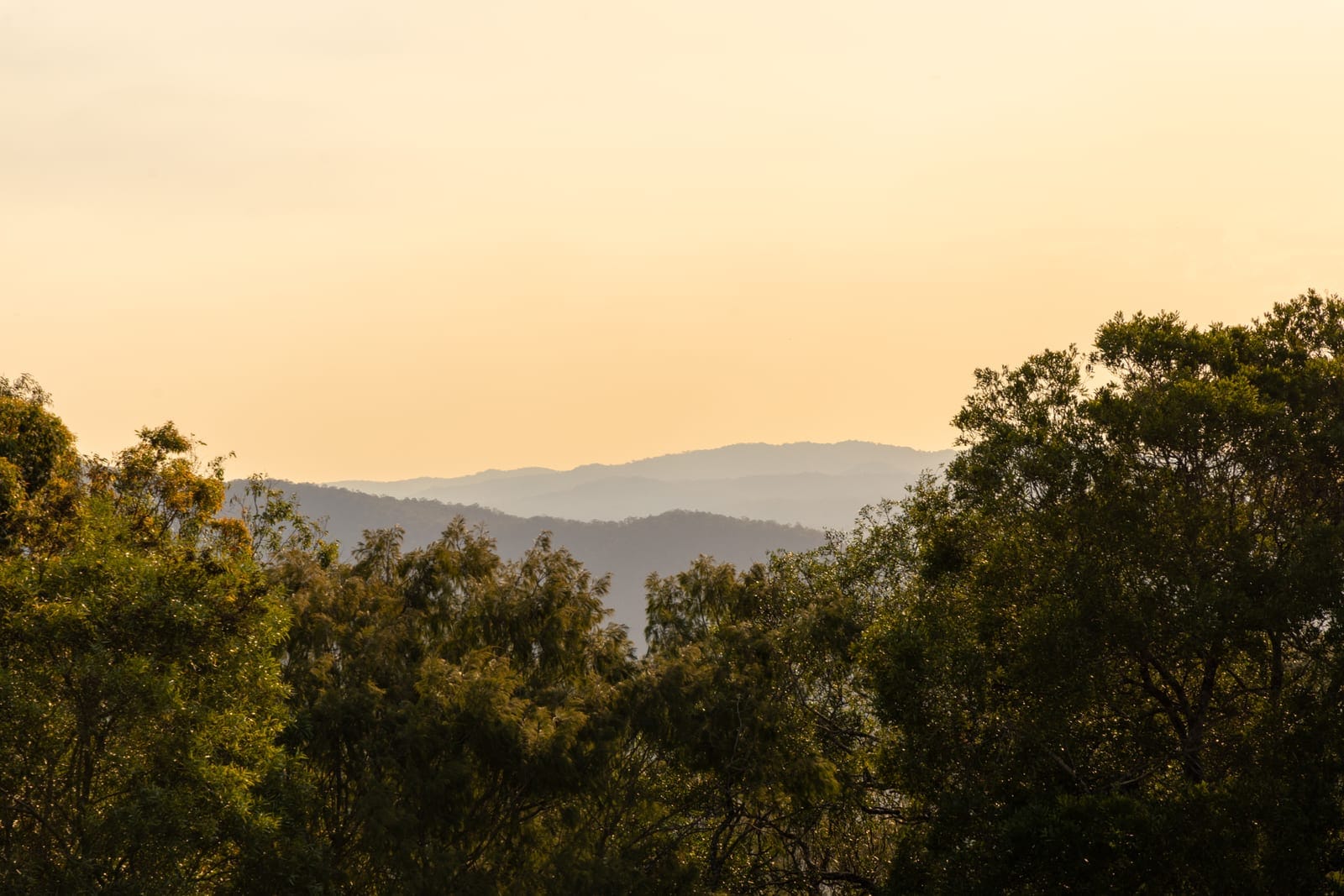 A Private Hinterland Sanctuary Where Timeless Queenslander Charm Meets Contemporary Luxury