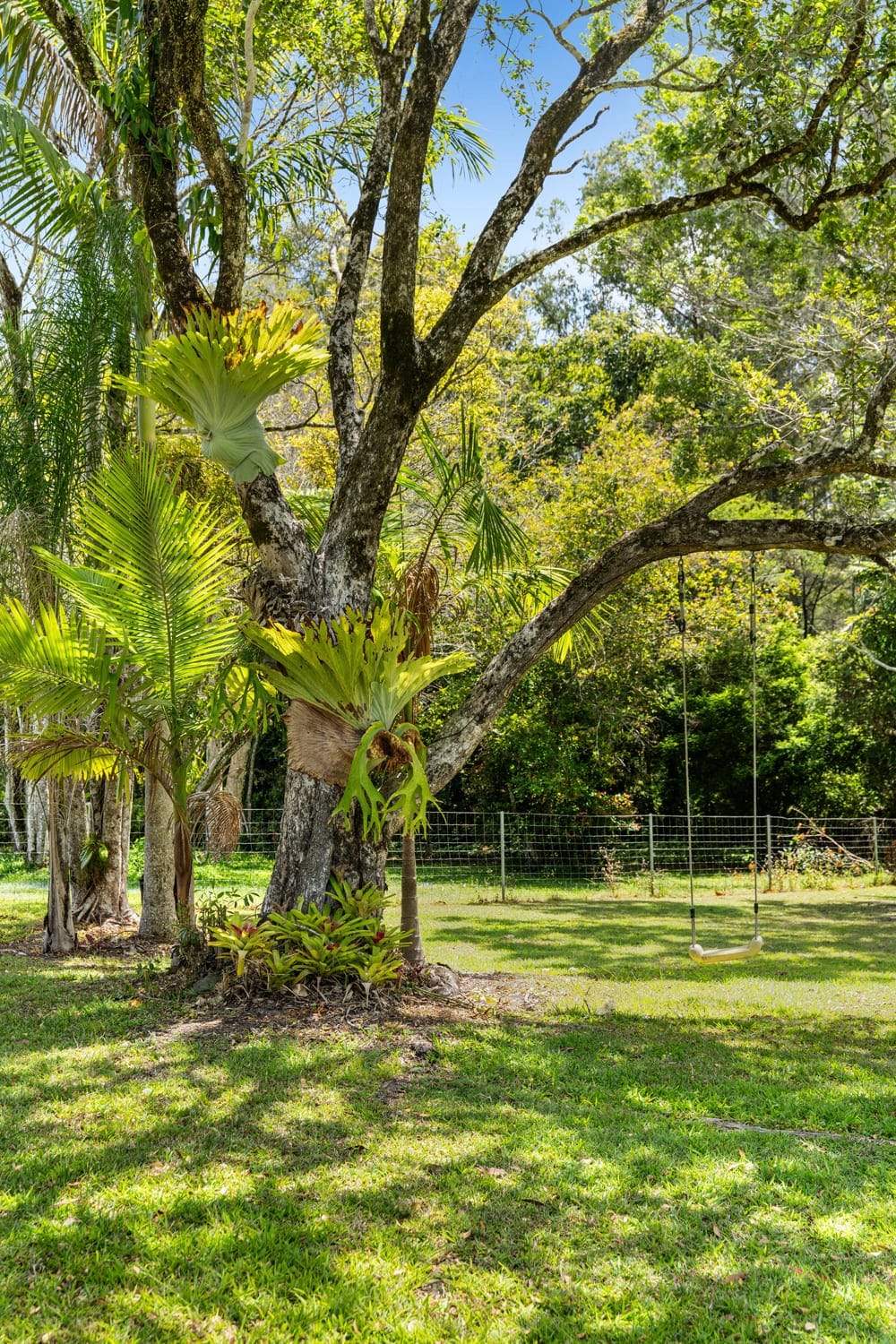 Acreage Living, Mountain Views & Endless Potential