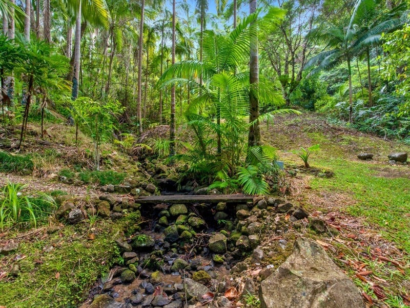 The Ultimate Rainforest Retreat In Buderims Heart...