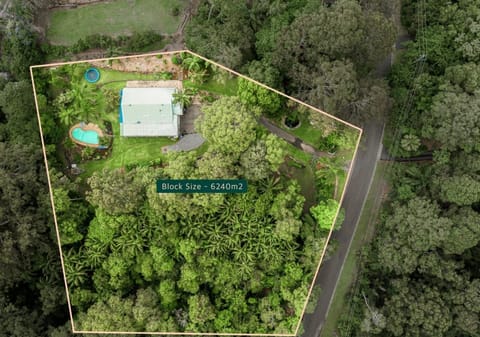 Rainforest Charmer: Private, Peaceful, Picturesque!