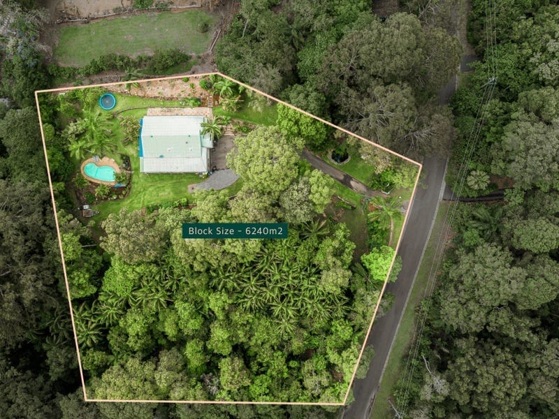 Rainforest Charmer: Private, Peaceful, Picturesque!
