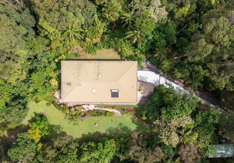 5-Acre Sanctuary: Rainforest, Wildlife, Tranquillity!